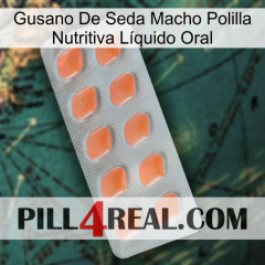 Gusano De Seda Macho Polilla Nutritiva Líquido Oral 26